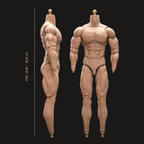 1/6 Scale BD003 Muscular Male Action Figure Body fit for Soldier Head 07542677