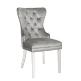 Erica 2 Piece Stainless Steel Legs Chair Finish with Velvet Fabric in Light Gray 808857825940