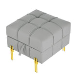 22 inches Anti-scratch Leather Storage Ottoman, Pet Friendly Entryway Bench with Golden Stainless W1191P196354