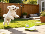 Automatic Dog Ball Launcher, 5 Balls Included, 3 Distance Settings , for Small & Medium 18798304