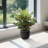 Set of 4 Fluted Ceramic Flowerpot, Modern Planter for Patio, Garden, Windowsill - Dark Coffee W3273P321575