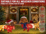 Set of 2 Lighted Dachshund Dog Christmas Decorations, Pre-lit Holiday Decor with 115 Warm White LED 87696606