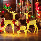 3-Piece Lighted Christmas Reindeer Family Set Outdoor Decorations, Weather Proof 2D Deer Family Set 95517130