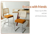 Dining Chairs Set of 2, Velvet Rattan Side Accent Chairs with Chrome Legs, Modern Mid Century Breuer W2105P263404
