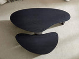 2-Piece Modern Irregular Shape Coffee Table Set for Living Room,Easy Assembly Nesting Coffee Tables, W2582P402266
