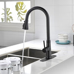 ZUN Single Handle High Arc Pull Out Kitchen Faucet,Single Level Stainless Steel Kitchen Sink Faucets 30523616