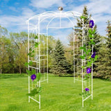 ZUN Metal Garden Arch Iron Garden Arbors Gazebo Dia 81.3'' x 114.2'' High Birdcage Shape Pergola W1586104488