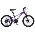 ZUN Mountain Bike for Girls and Boys Mountain 20 inch shimano 7-Speed bike W101984859