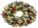 24" Artificial Flocked Christmas Wreath, PreStrung 50 Warm White BatteryPowered LED Lights Frosted 86835740