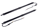2Pcs Powerlift Tailgate Strut For 2018-2024 Lexus UX 200 200h 6802076010 6801076010 12958441