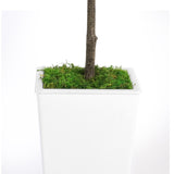 Artificial Olive Tree 7FT with Pot and Moss, Artificial Plants for Home Office Decor T3210P298177