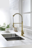 Kitchen Faucet with Pull Out Spraye W928112742