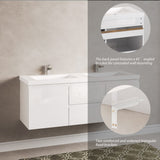 60" Floating Bathroom Vanity with Double Undermount Sink Wall Mounted Bathroom Storage Vanity T3210P278297