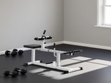 Adjustable Steel Seated Calf Raise Exercise Strength Training Gym Equipment 98103039