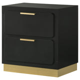 Sophia Black 2-drawer Nightstand B062P299897