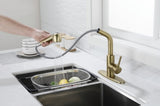 Utility Sink Faucets Single-Handle Pull-Out Laundry Faucet with Dual Spray Function in Stainless W928110189