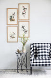 S/4 Bird Framed Print, 15.5x23.5" W2078P205314
