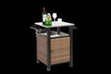 Single door bar cart,Outdoor Kitchen Wicker Island Rolling Cart & Storage Cabinet, Wheels and W640P256896