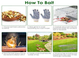 2PCS 24 Inch Humane Live Animal Trap Cage, Galvanized Steel Catch and Release Trap for Squirrel, 49318074