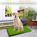 ZUN Dog Toilet Indoor Puppy Training Pad, Dog Potty Pet Training Grass Mat, Removable Waste Tray for 07162018