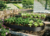 Galvanized Raised Garden Bed 8x4x1ft - Heavy Duty Metal Planter Box for Vegetables, Herbs & Flowers, W840P499241