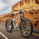 ZUN A26309 26 inch Mountain Bike,Full-Suspension 21 Speeds Drivetrain with Disc-Brake MTB Bicycle, 26*4" W709P194944