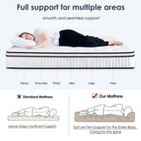 Queen Size Mattress,12 Inch Hybrid Mattress, Individually Pocketed Innerspring, Medium FirmQueen W2889P310461