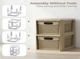 2-Drawer PP Storage Organizer Wicker Style Narrow Cabinet for Home Office 09536706