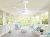 48 Inch Solid Wood Ceiling Fan with Dimmable Light 6 Speed Reversible DC Motor W934P147069
