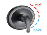 Shower Head with Handheld Shower System with 8" Rain Shower Head W121949130