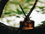 English Oak & Redcurrant Reed Diffuser 6.76oz - Essential Oil Sticks for Elegant Home Fragrance and 68660270