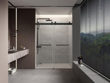 56 to 60 in. W x 76 in. H Double Sliding Frameless Soft-Close Shower Door with Premium 3/8 Inch W1573126510