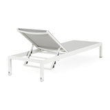 Outdoor Chaise Lounge Chair Set of 2, Aluminum Adjustable Outside Chair for Pool Patio Beach Yard, N779P248447W
