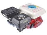 6.5HP 160cc Gasoline Engine Powering for Industrial & Agricultural Machines 30173070