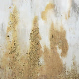 20.8x20.8x1.2" Framed Gold and Gray Wall Art with Glass Cover, Set of 2 W2078P313347