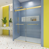 Bypass shower door, sliding door,soft close system, with 5/16" tempered glass and Brushed Gold W2122P225213