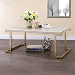 ZUN White and Champagne Sled Base Coffee Table B062P181381