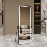64 inch x 21 inch full-length vertical mirror with LED light, illuminated floor mirror with bracket, W2709P305306