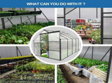 6x10 FT Polycarbonate Greenhouse Raised Base and Anchor Aluminum Heavy Duty Walk-in Greenhouses for 81183691