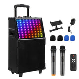 12in 60W with LED spectrum light, Bluetooth remote control, pull rod speaker 66310673