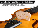 Full Size 4/4 Violin Set for Adults Beginners Students with Hard Case,Violin 08941007