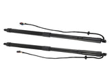 Pair Electric Tailgate Trunk Lift Support Fit For Hyundai Santa Fe Sport 2015-2018 24201584