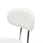 ZUN Round Shape Adjustable Salon Stool with Back and Line White 46930452