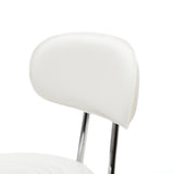 ZUN Round Shape Adjustable Salon Stool with Back and Line White 46930452