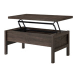 ZUN Walnut Coffee Table with Lift Top B062P186489