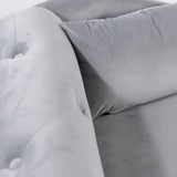 Grey Chaise Lounge Indoor,Velvet Lounge Chair for Bedroom with Storage & Pillow,Modern Upholstered W1170100897