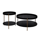 ZUN 2-Piece Modern 2 tier Round Coffee Table Set for Living Room,Easy Assembly Nesting Coffee Tables, W2582P167726