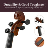 Professional 4/4 Full Size Violin Set - Durable, Lightweight Design with Stable Rich Sound, Smooth 99938101