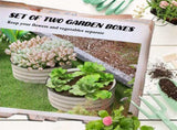 Set of 2 Raised Garden Beds Metal Planter Box Kit with Safety Edging, Easy-to-Assemble Stock Tank 88327592