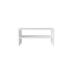 ZUN White 2-Shelf Shoe Rack B062P230636